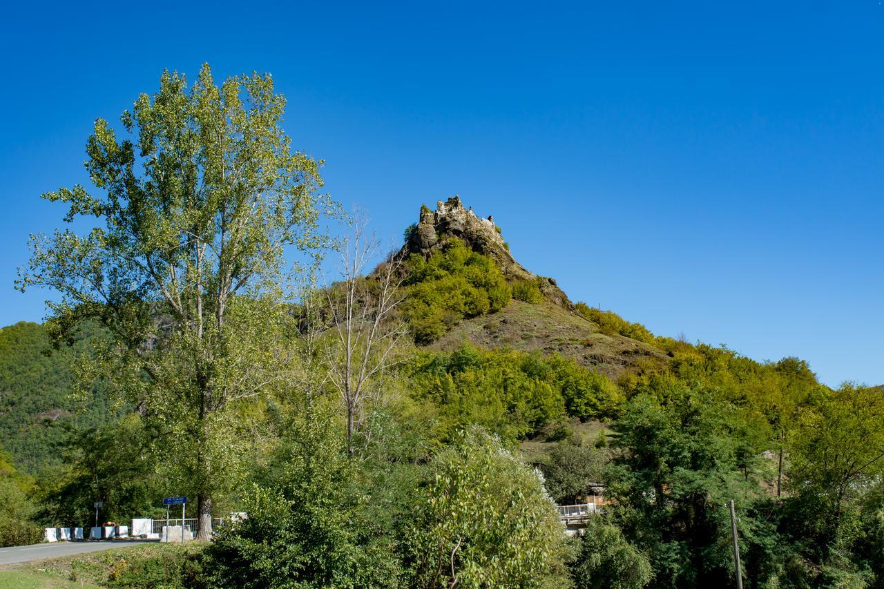 Chateau Dio Ambrolauri Exterior foto